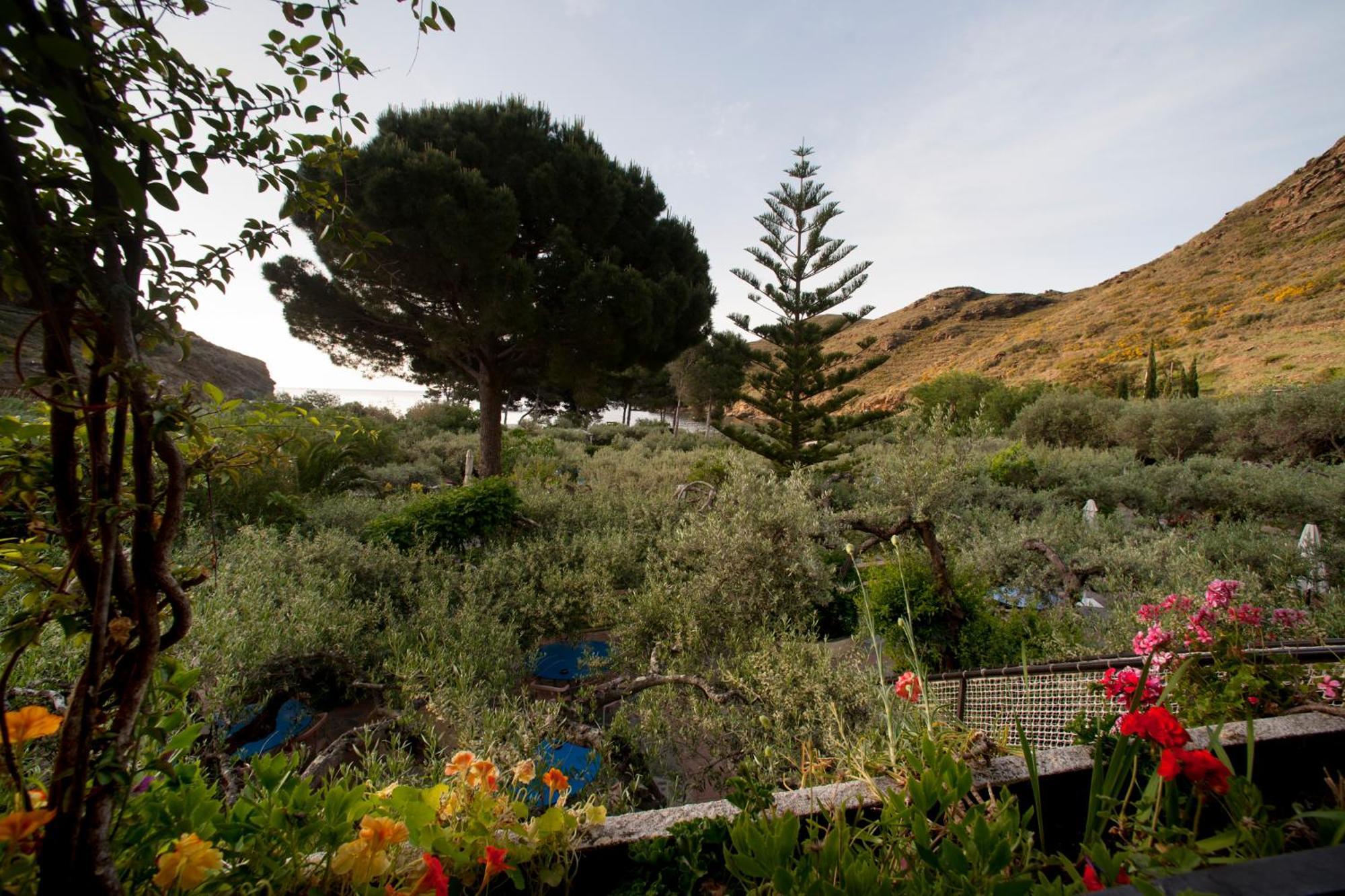 Hotel Cala Joncols Roses Esterno foto