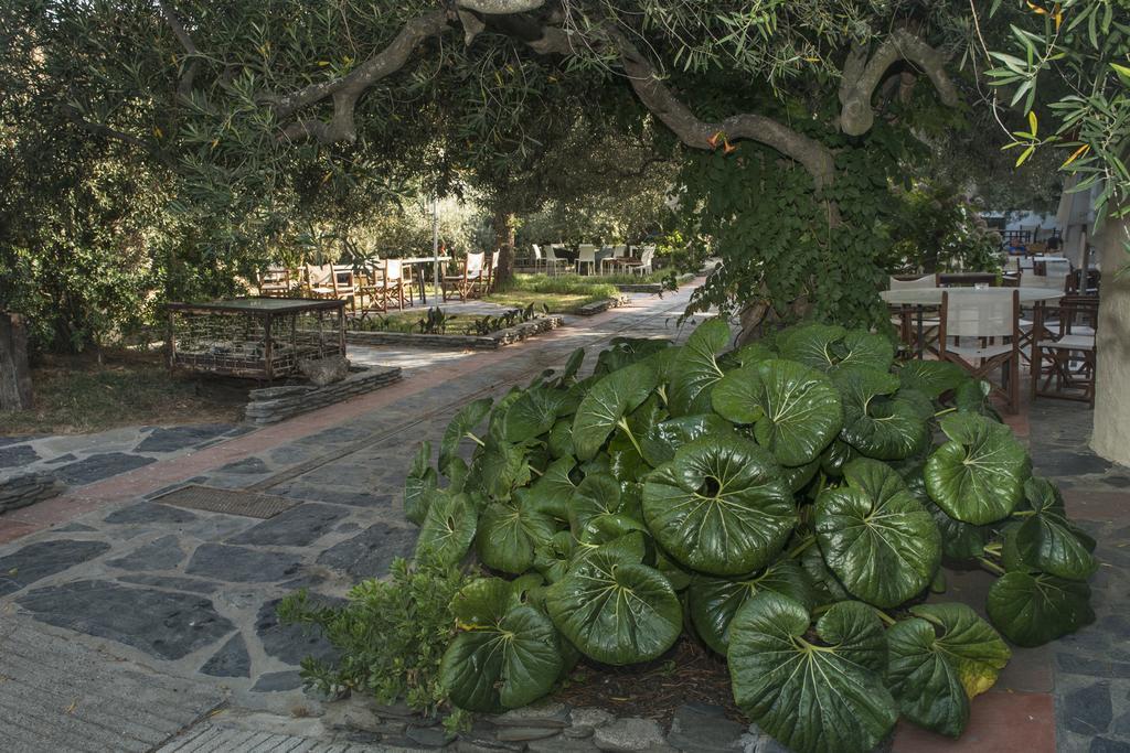 Hotel Cala Joncols Roses Esterno foto